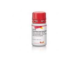 Peroxidase Type VI, Essentially Salt-Free, Lyophilized Powder, ≥ 250 Units/Mg Solid - 100.000 Units - Sigma